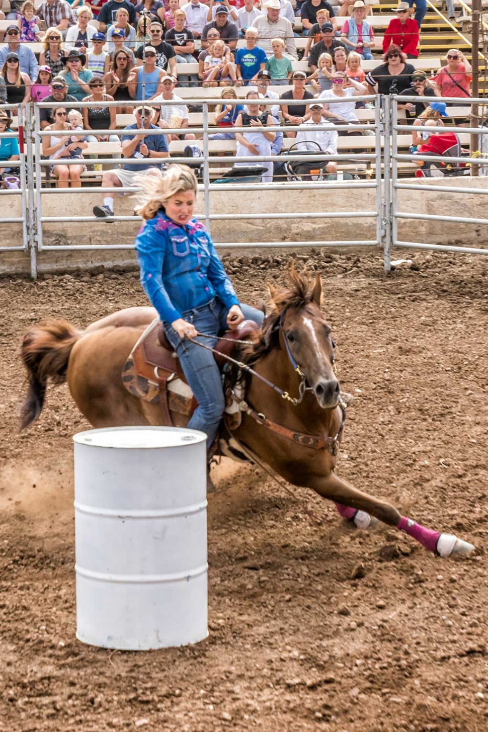Ventura County Fair Rodeo The Fillmore Gazette