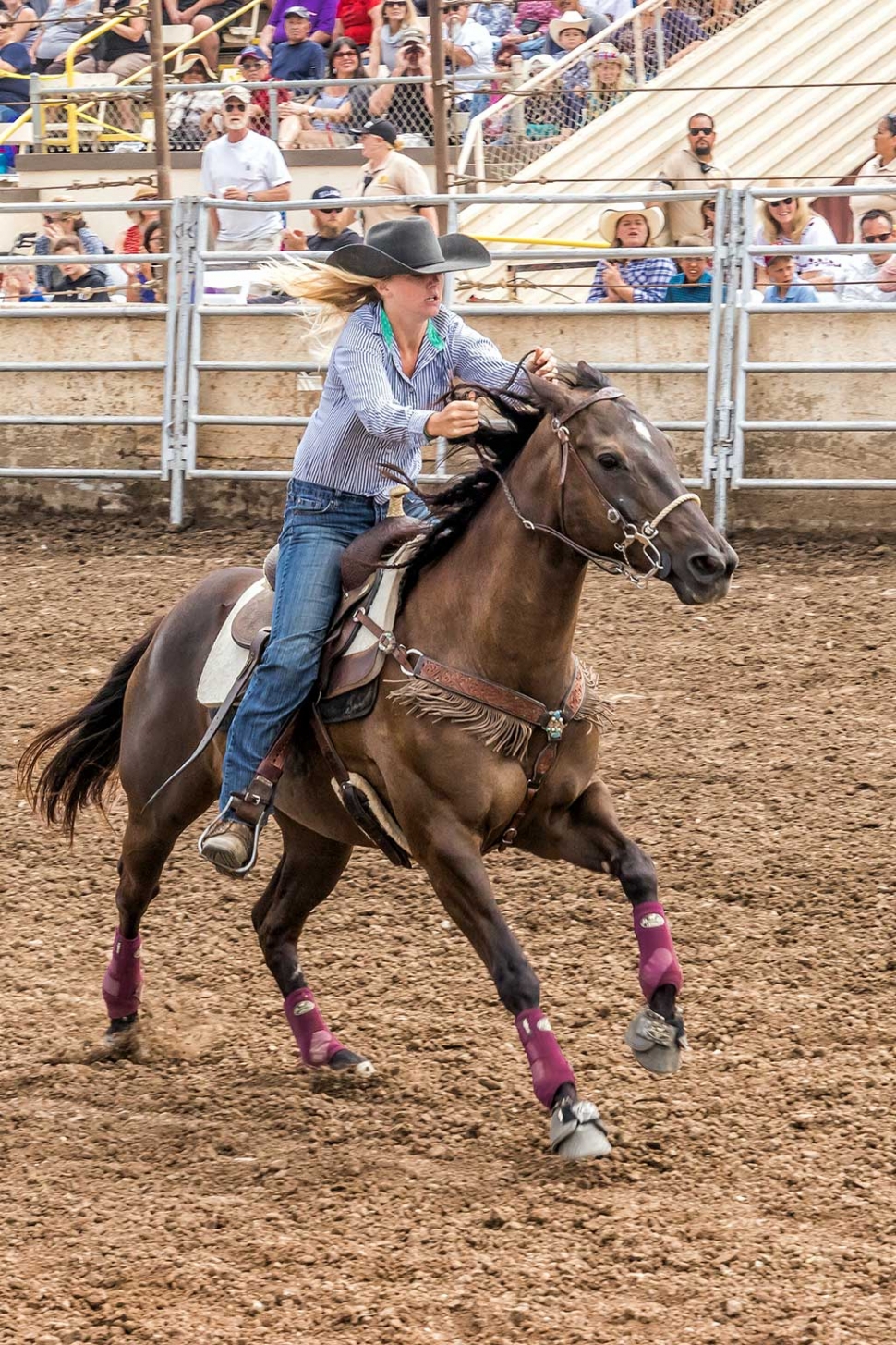 Ventura County Fair Rodeo The Fillmore Gazette