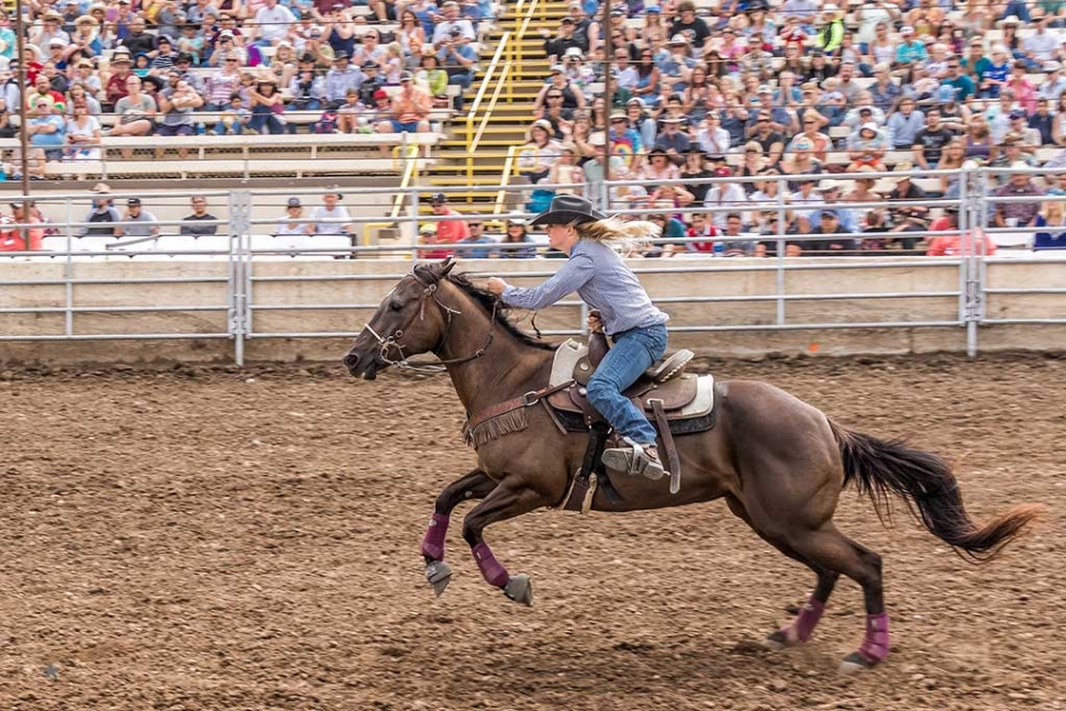 Ventura County Fair Rodeo The Fillmore Gazette