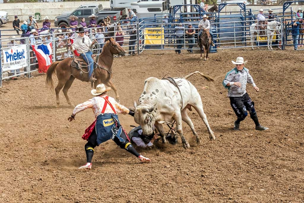 Ventura County Fair Rodeo The Fillmore Gazette