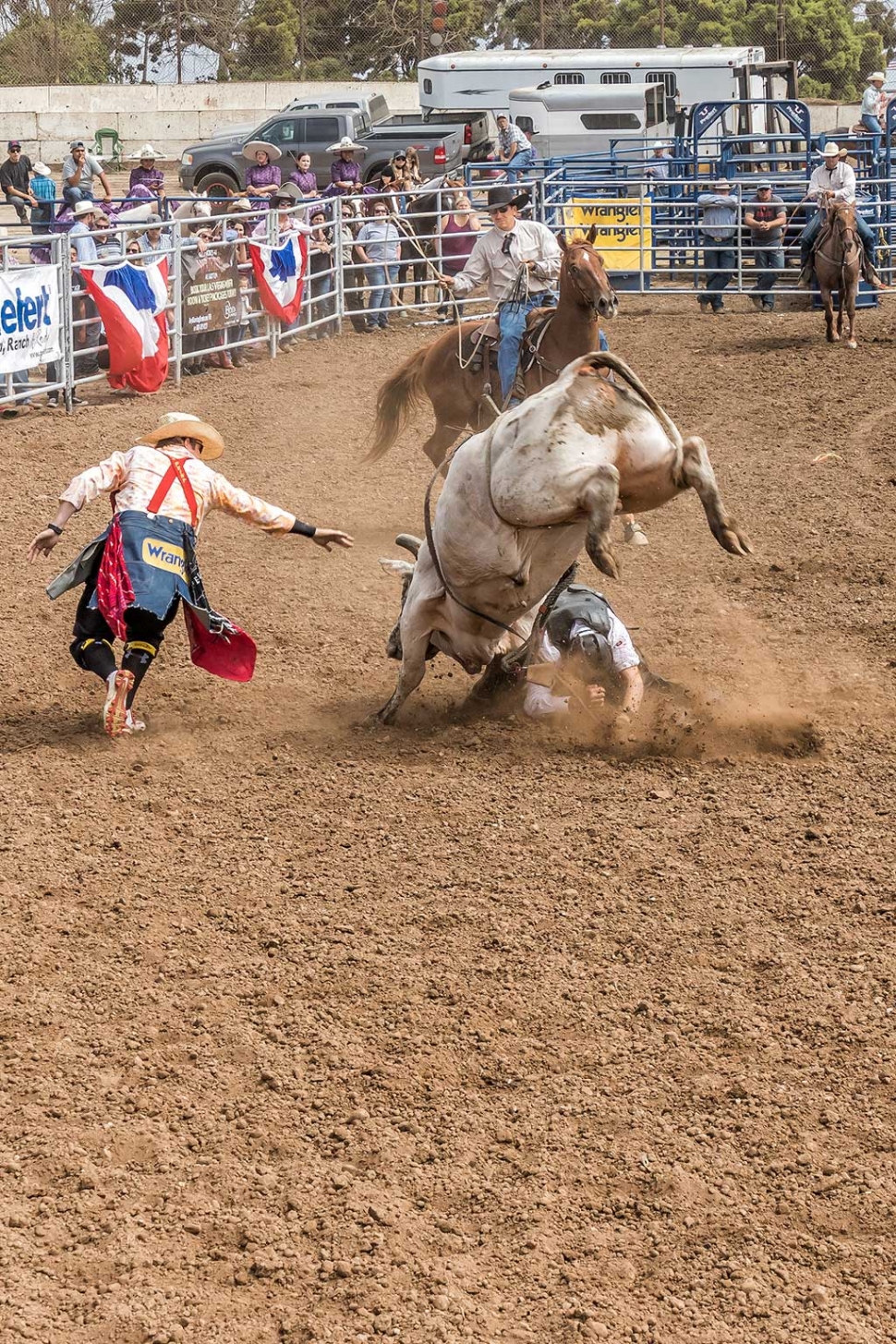Ventura County Fair Rodeo The Fillmore Gazette