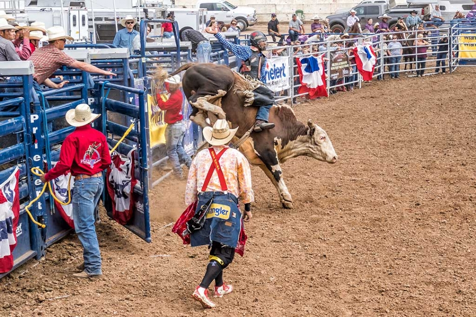 Ventura County Fair Rodeo The Fillmore Gazette