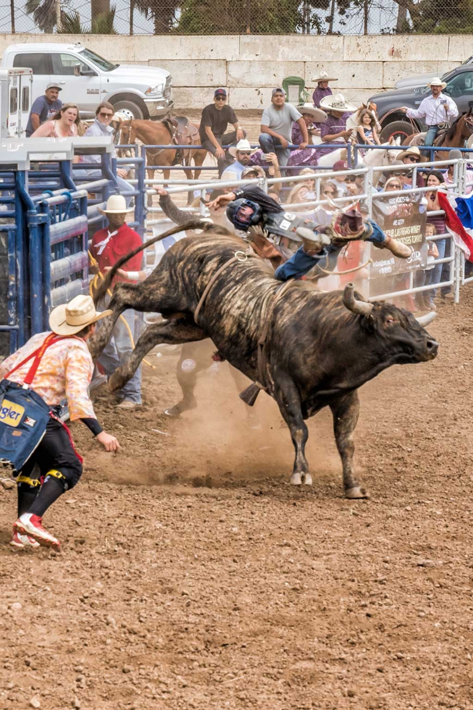 Ventura County Fair Rodeo The Fillmore Gazette