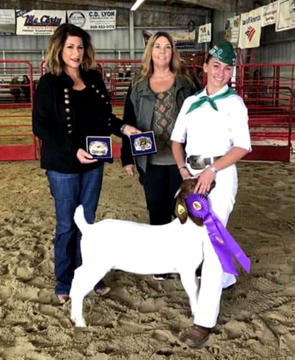 On Sunday, August 4th at the Annual Ventura County Fair, Sespe 4H kicked off the first week and had four kids place well in this year’s Goat Breading and Pygmy Goat Show for Small Live Stock. Pictured right is Brooke Allen (far right) along with one of the fair judges and the breeder of her goat. Brooke was awarded Supreme Grand Champion Weather Dam Doe, Senior Showmanship. Pictured below are three of this year’s winners in the Pygmy Goat show: Isabella Zavala, Supreme Grand Champion Unregistered Pygmy, 3rd place Junior Showmanship; Ethan Zavala, Supreme Grand Champion Registered Pygmy, 2nd place Junior Showmanship; and Sophia Ocegueda, Reserve Champion Unregistered Pygmy, 3rd place Showmanship. Photos courtesy Kerrie Allen and Patrick Zavala