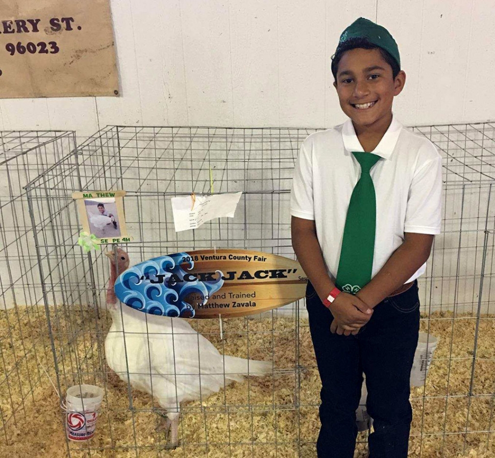 Sepse 4-H Primary Member Matthew Zavala who was awarded Champion Turkey at the Ventura County Fair.