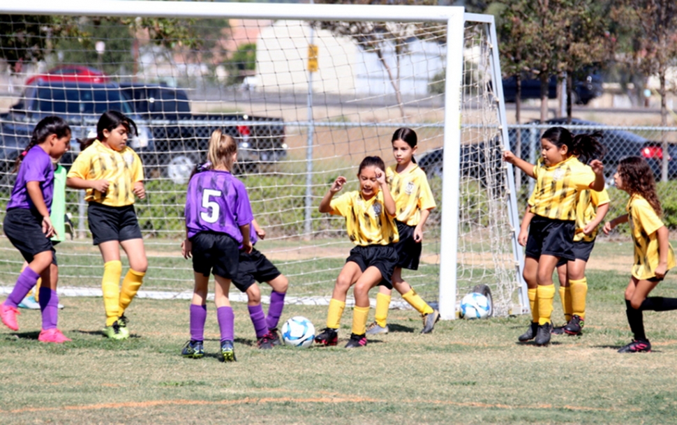 Two Rivers Park in Fillmore was busy this past Saturday with Fillmore’s AYSO Soccer in full swing. Pictured are the Scarlett Dragons vs. the Golden Dragons. Above are the Golden Dragons defending their goal. Photo credit Crystal Gurrola.