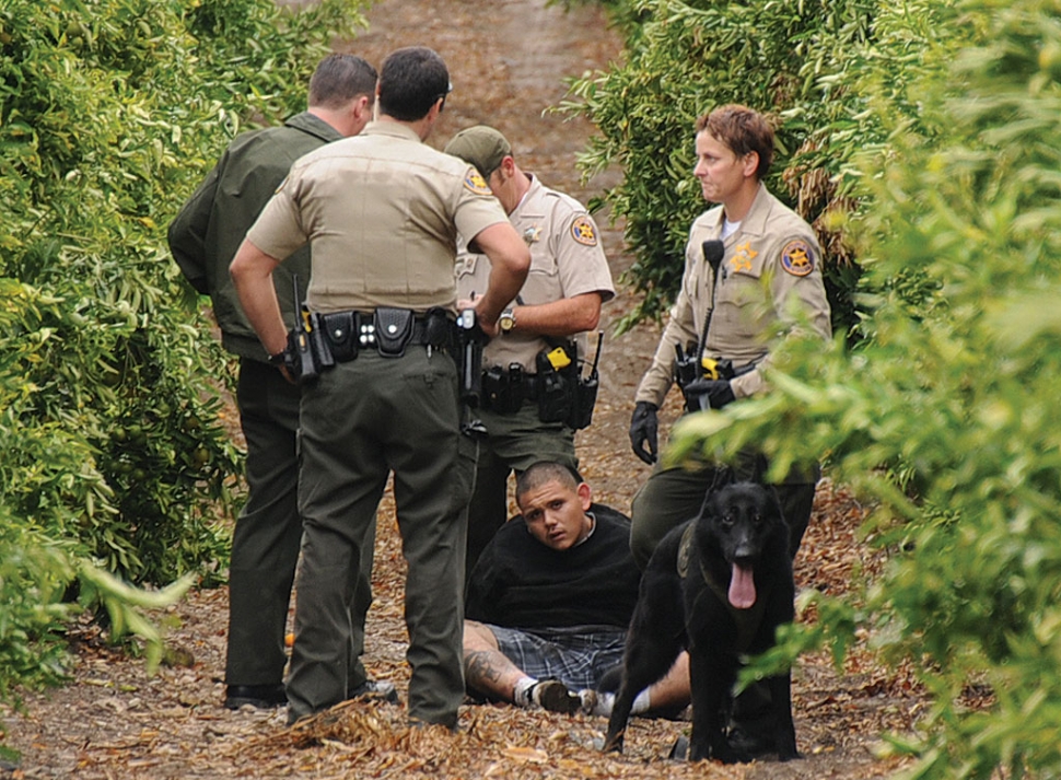 Ventura County Sheriff’s Deputy Delpit with three other unidentified deputies arrest one of three alleged car thieves following a comprehensive pursuit. Sheriff’s Office Air Unit and two K9 Units participated in the apprehension of the three suspects and the recovery of two stolen vehicles.