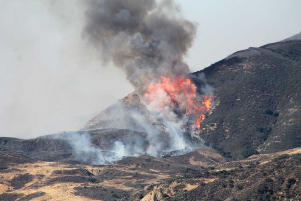 (above) Thomas Fire near Fillmore on Thursday, December 7, 12:52pm. On Monday, December 4th at approximately 6:28pm the Thomas Fire began north of Santa Paula, Highway 150 and Highway 126. As of December 13th 2017, 12:20pm the Thomas Fire has threatened 18000 structures, 921 structures destroyed and 200 structures damaged. 237,500 acres have burned and the fire is 25% contained. Agencies currently assisting in the Thomas Fire: CAL FIRE, Ventura County Fire, Ventura County Sheriff, Santa Barbara County Fire, Santa Barbara County Sheriff, City of Ventura Fire Department, City of Ventura Police Department, USFS/Los Padres National Forest, CAL OES, Red Cross, Southern California Edison, CHP, California Dept. of Corrections and Rehabilitation, SoCaGas, Crimson Pipeline, Wildfire Defense Systems, CA Resources Group, Santa Paula Police, Santa Paula Fire, Fillmore Fire, Ventura County OES, and Santa Barbara OEM. There are over 7,956 fire personnel battling the Thomas Fire, 983 engines, 152 fire crews, 27 helicopters, 67 dozers, and 52 Water Tankers.