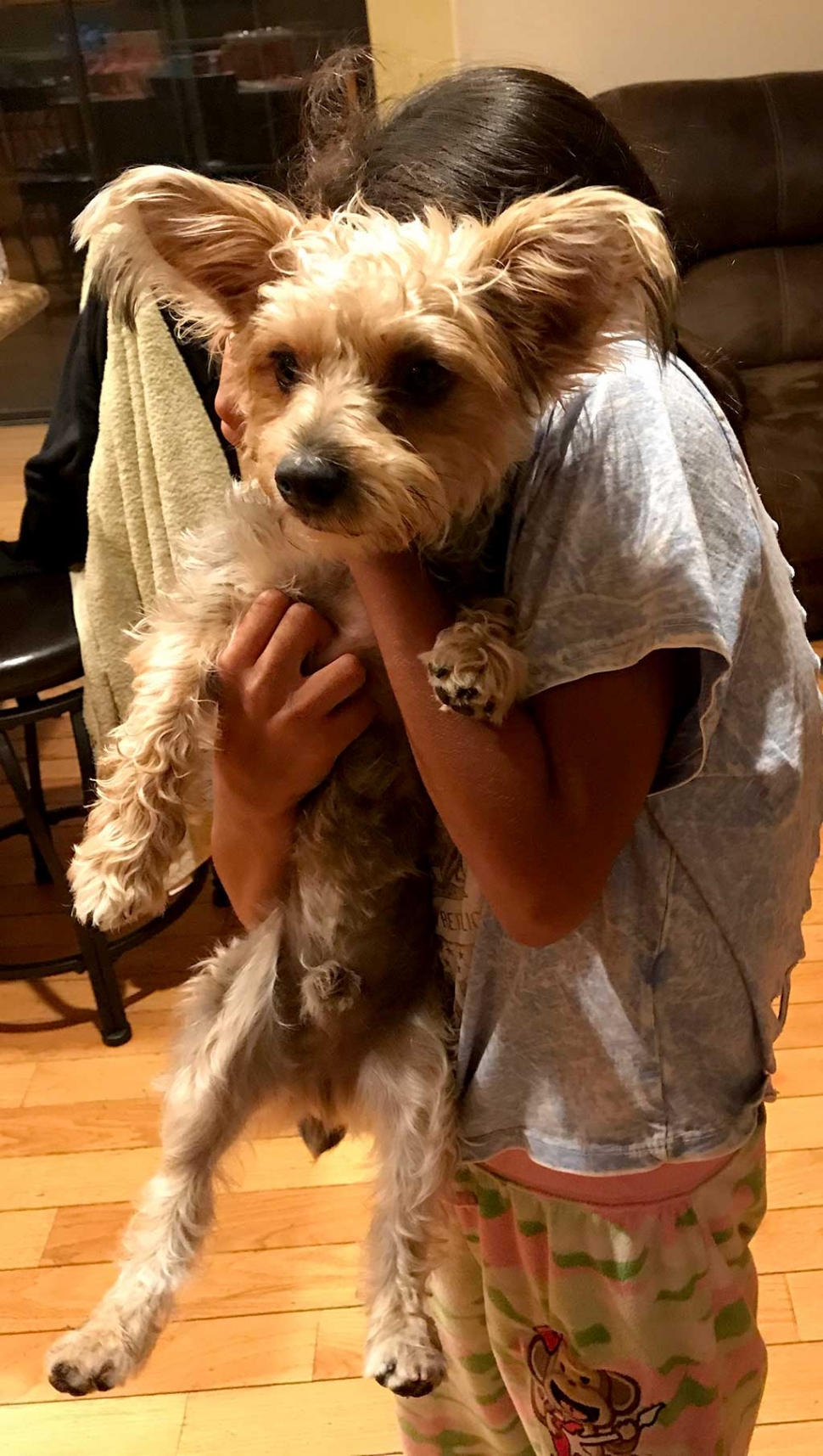 My name is Tiggy. I got lost right after I was bathed. I left before my owner put my collar on, so I don’t have my dog identification on me. Please contact 805-830-3775 or 805-223-1578. $$$ REWARD IF FOUND.