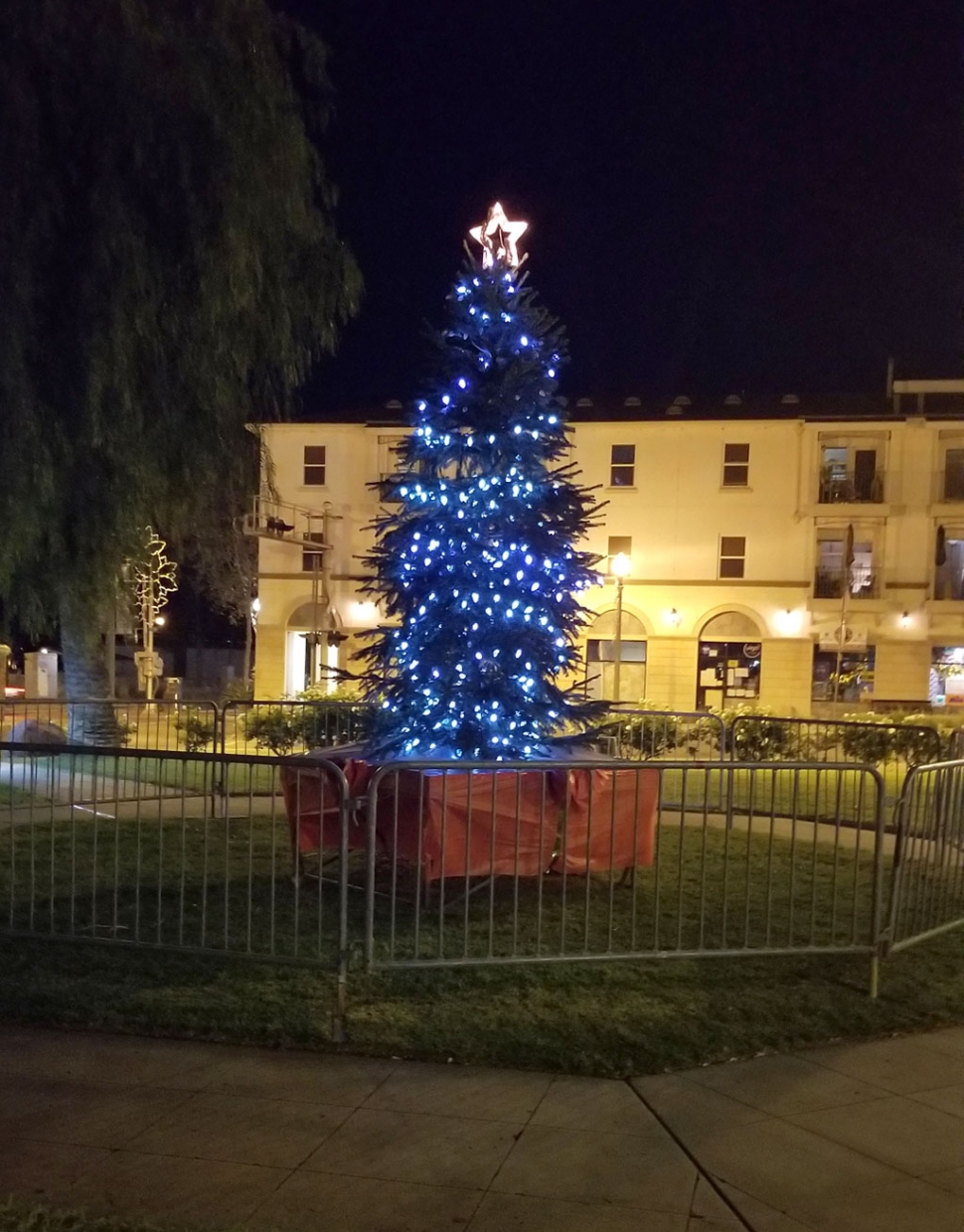 On Monday, December 1st the City of Fillmore hosted their Annual Tree Lighting Ceremony. Due to the COVID-19 pandemic and social distancing guidelines this year’s ceremony was done virtually with Fillmore Mayor Tim Holmgren hosting the event. This year’s tree was donated by Prancers Farm. Visit the City of Fillmore Facebook page to see video.