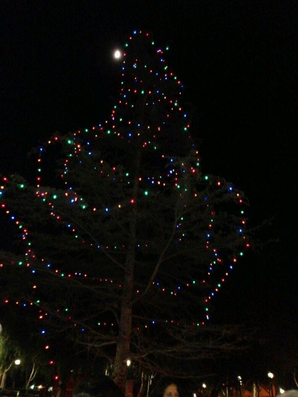 The Annual Light up a Life tree lighting took place on Saturday, November 29th in Central Park. The tree honors the memory of loved ones, sponsored by the Santa Clara Valley Hospice.