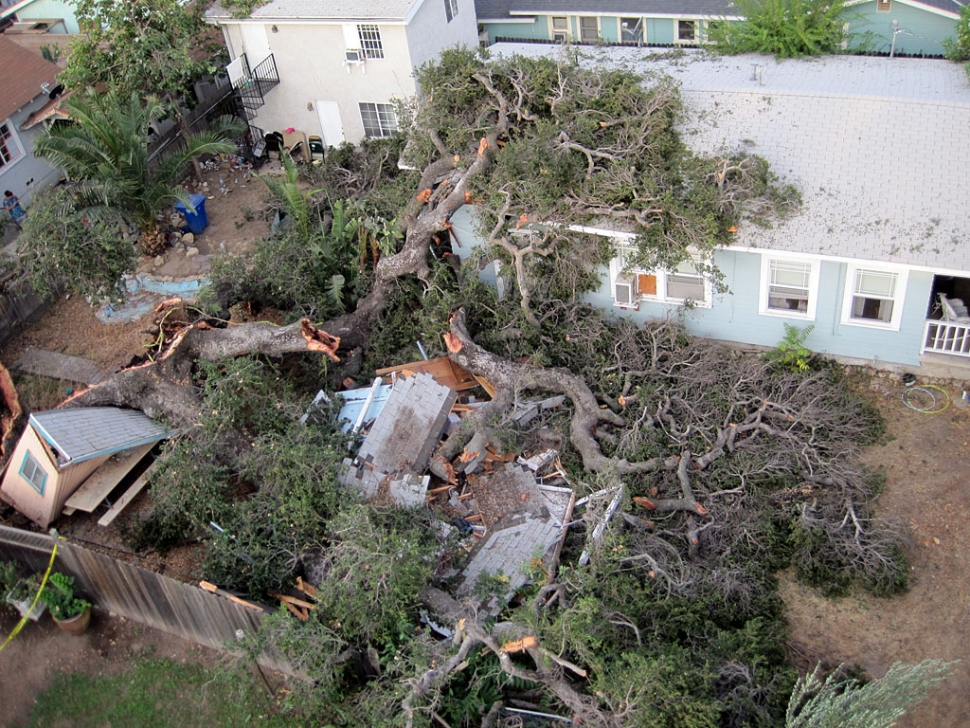 Fillmore Fire Department responded to a fallen tree onto a structure on the 400 Block of 2nd St. Upon arrival Fillmore Fire Captain Patrick Maynard reported a very large Oak tree (at least a few hundred years old) that had fallen onto the structure. Maynard’s crew then executed a primary search of the residence and made sure no one was trapped in the structure. Once they confirmed there was no one in the structure Maynard’s crew evaluated the rest of the properties and found a total of 3 homes with damage from the fallen tree and one out building that was a total loss. Two of the 3 homes still remain yellow tagged. One minor injury, patient was treated at the scene and refused transport by ambulance.