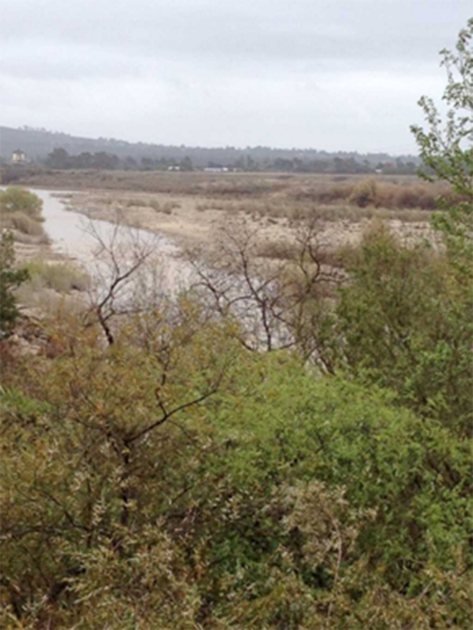 Santa Clara River Downstream of Freeman Diversion, Photo courtesy Nina Danza.