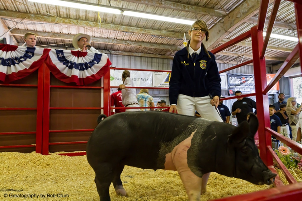 Hailee Smith with Hamlette FFA Reserve Champion, Market Swine.