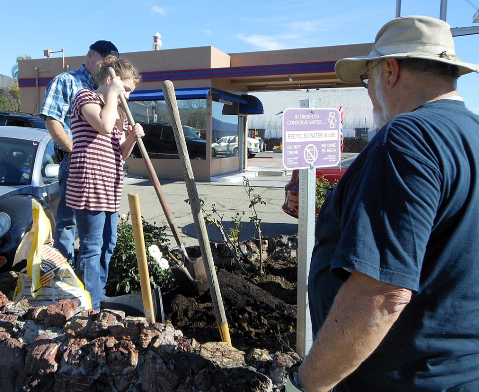 Paige McKeown & her father, Steve, digging holes for the new roses and James Nunes helping out.