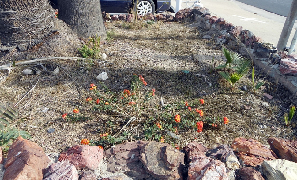 The “before” picture of the rock planter at the corner of 126 & Central.