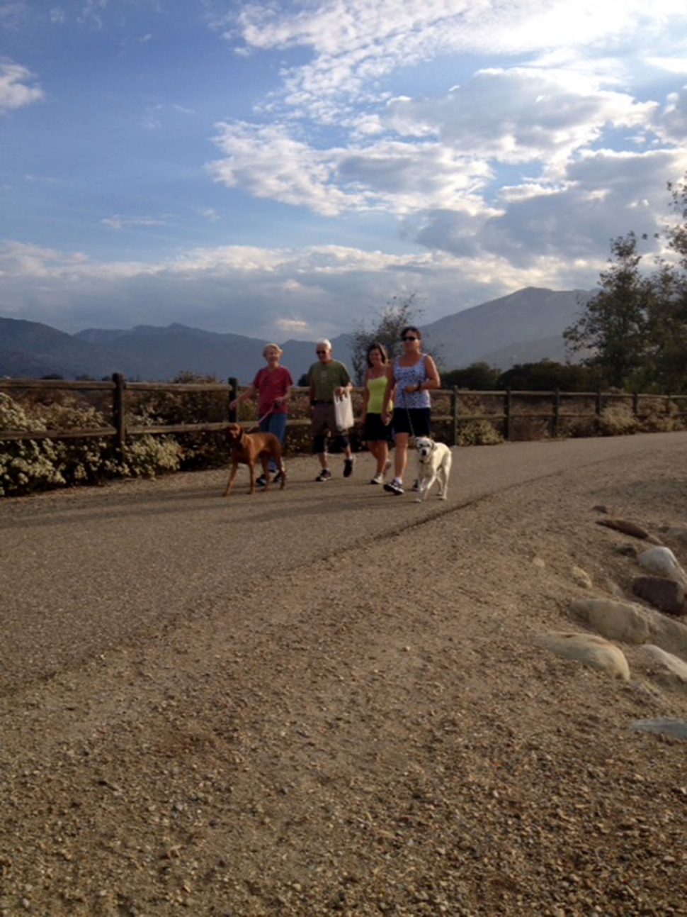 Pictured on their Monday thru Friday walk are (l-r) Jolene Stehem, Tasha-4 year old Bizsla, Jack Stethem, Susan Berdahl, Susan Wilson, and Rylee with 8 y-ear old white Labrador Retriever.