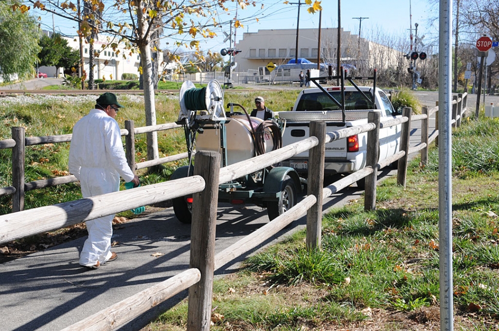 The recent rains did wonders for Fillmore’s flowers. Unfortunately they also did wonders for the weeds. A city crew sprayed the bike trail off of A Street and Old Telegraph Road for weeds last week.