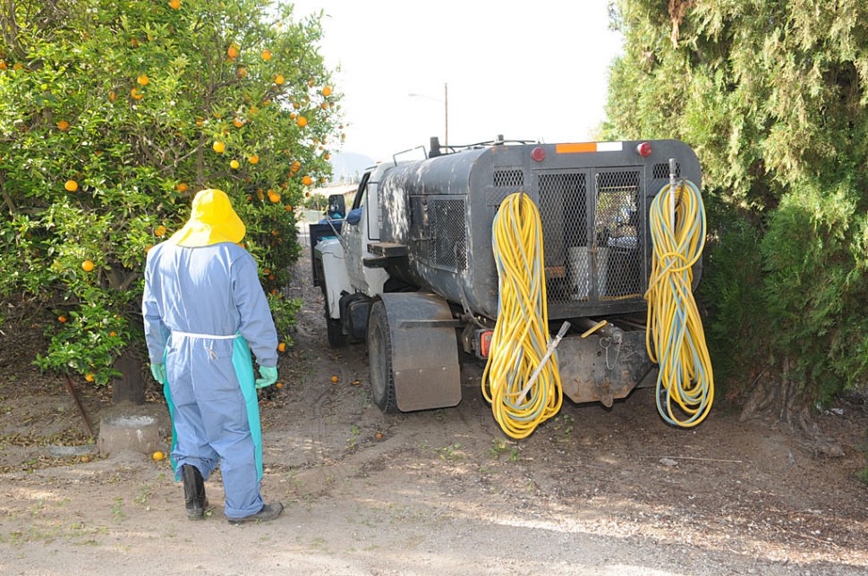 Warrant served, spraying begins. Sheriff’s deputies served a warrant Tuesday on Fillmore resident Herbert Haase to enter, inspect, and treat his orange grove at Third and B Streets for a citrus pest, Asian Citrus Psyllid. A County worker waits to begin the spraying.