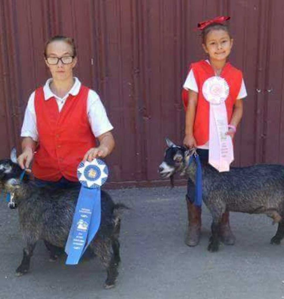 Autumn Inglis and Selena Torres pictured with their Reserve Champion Pygmy Goats. 