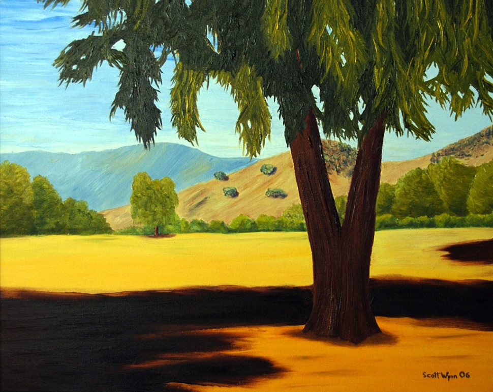 “Mid Morning Under The Eucalyptus” Oil On Canvas.