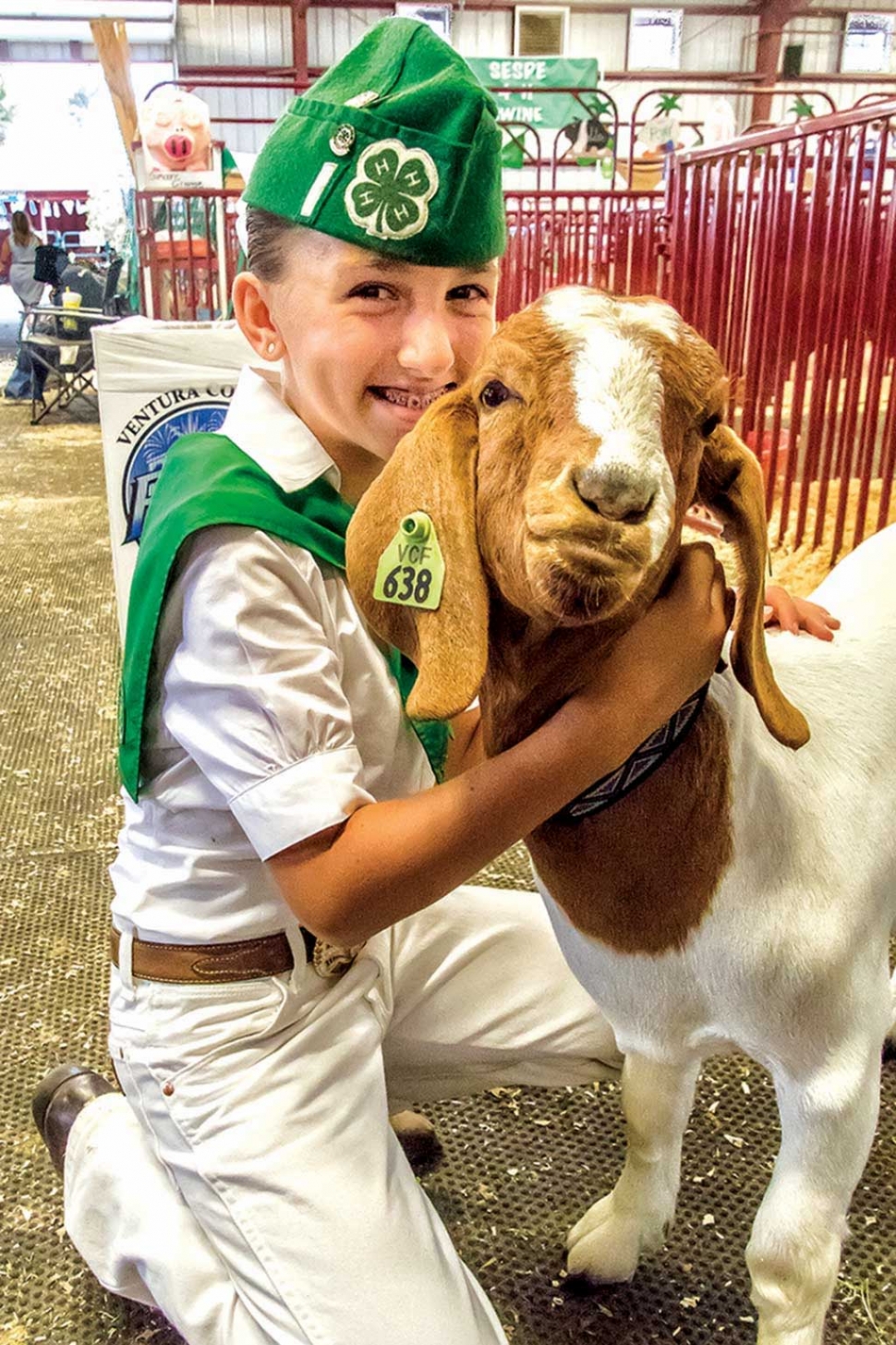 AUGUST - Twelve year old Brooke Allen and “Sophie” won Grand Champion, 4-H Champion and earned $1,900 at this past years Ventura County Fair. Photos by Bob Crum.